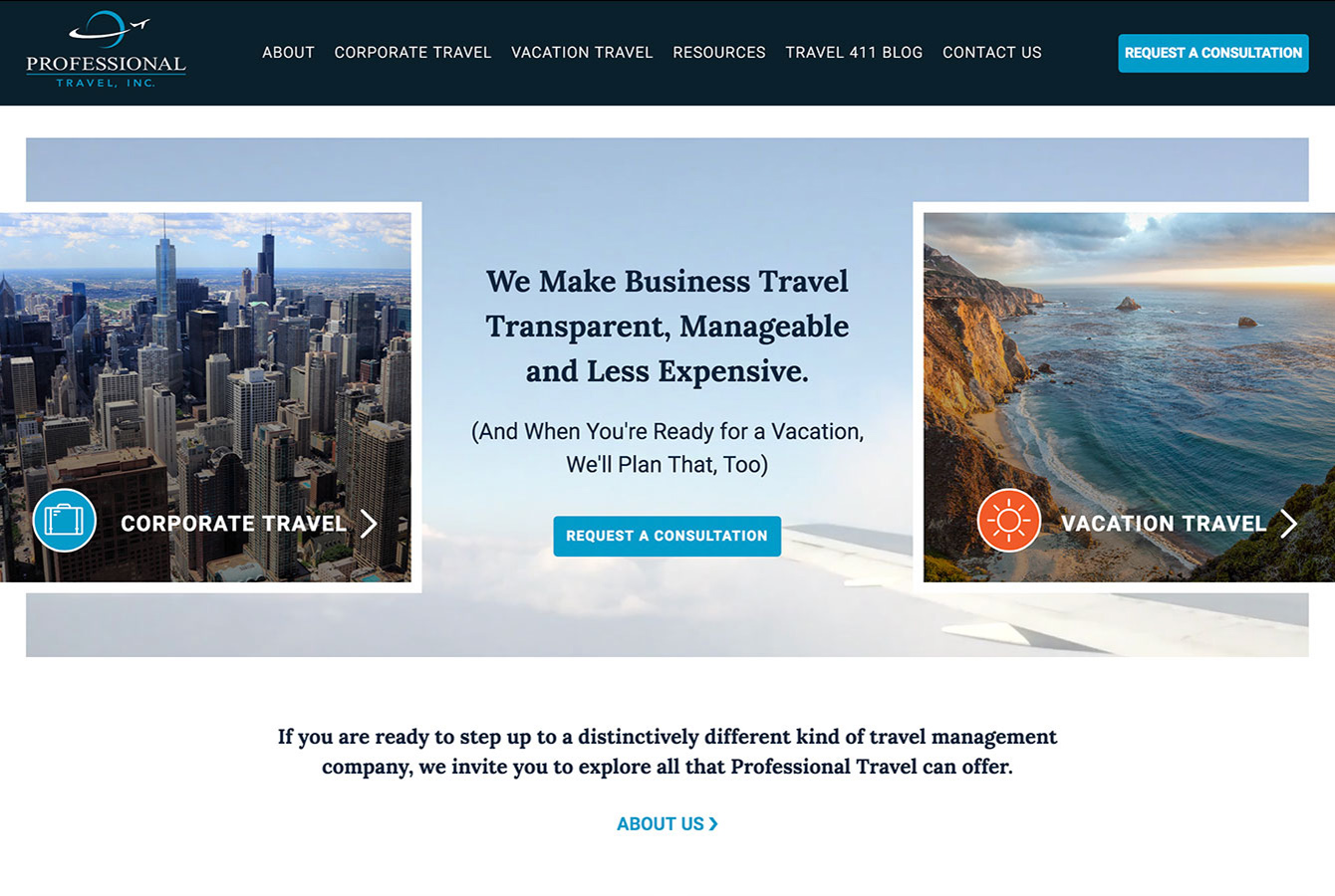 professional travel website