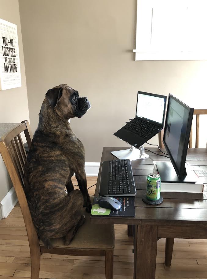 tully working from home